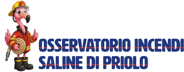 osservatorio incendi saline di priolo